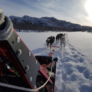 Husky Sledding