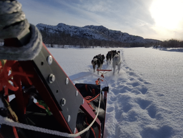 Husky Sledding