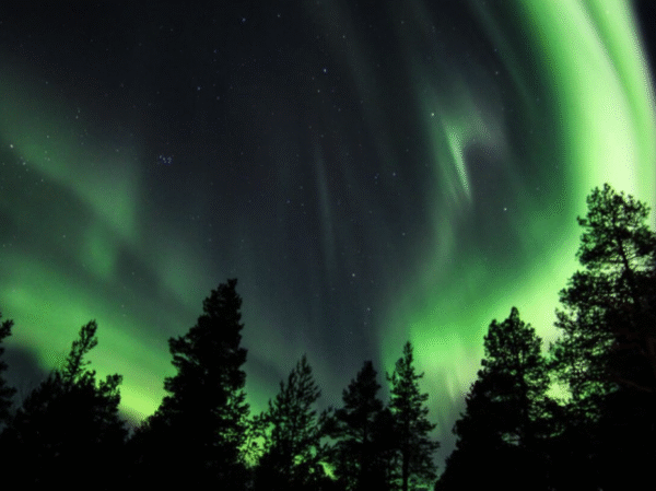 Nothern Light Experiences - Image 3