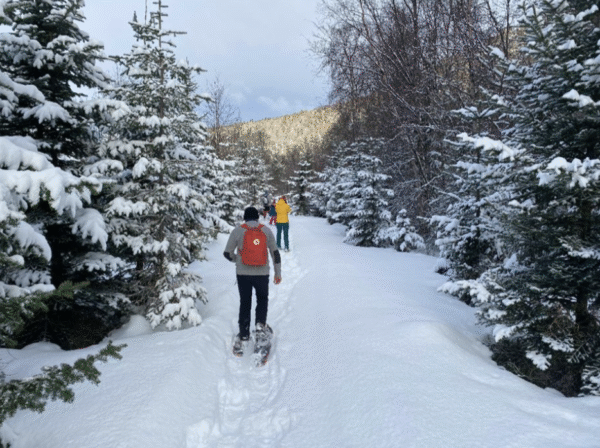 Snow boarding - Image 3