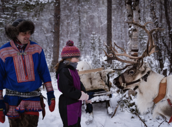 Reindeer and Sami experience